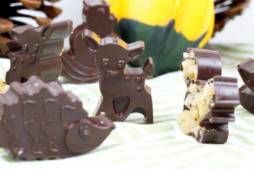 herbstliches Schokoladenkonfekt